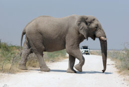 Namibia_August (115/135)